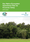 Key Native Ecosystem Operational Plan for Kourarau Valley 2019-2024 preview