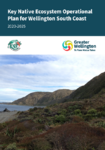 Key Native Ecosystem Operational Plan for Wellington South Coast 2020-2025 preview