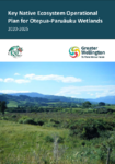Key Native Ecosystem Operational Plan for Otepua-Paruāuku Wetlands 2020-2025 preview