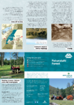 Pakuratahi Forest brochure preview