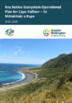 Key Native Ecosystem Operational Plan for Cape Palliser – Te Mātakitaki a Kupe 2021-2026 preview