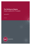 The Wellington Region Situation analysis 2014: A snapshot preview