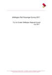 Wellington Rail Passenger Survey 2017 preview