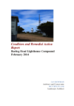 Condition and Remedial Action Lighthouse Compound Report (Ian Bowman, Boyden Evans, 2014) preview