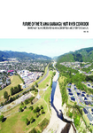 Future of the Te Awa Kairangi/Hutt River Corridor preview
