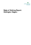 Wellington Region Walking Report 2001-2015 preview
