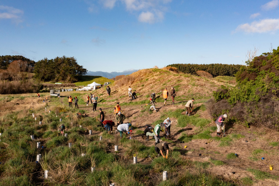 Wide shot of people planting on a hill