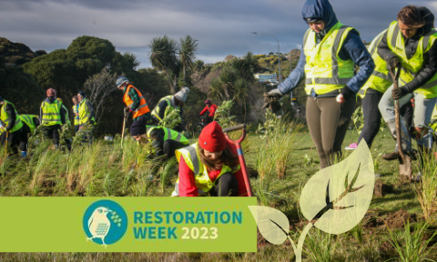 Volunteers plant young plants in a field, overlaid with the title Restoration Week 2023