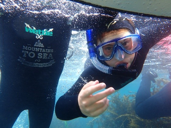 An underwater shot of a child snorkelling