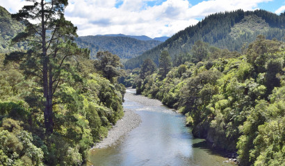 Waiohine River 2 cropped