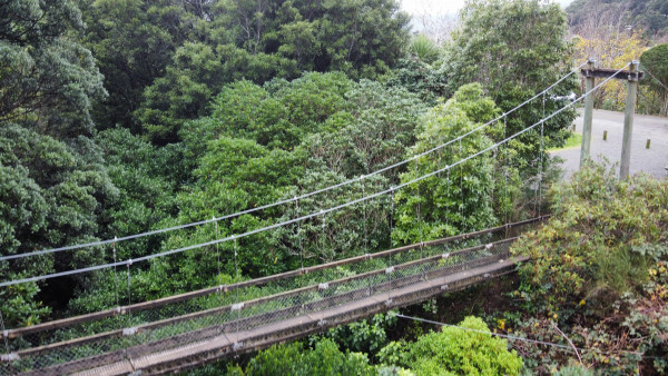Akatarawa Forest’s Cannon Point Walkway swingbridge
