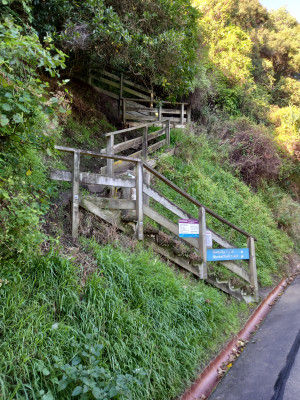 The old steps of the Mackenzie Track