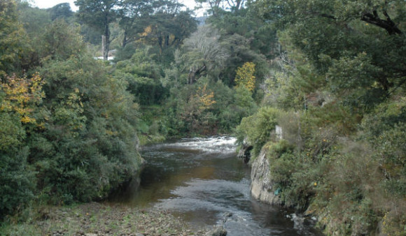 Mangaroa River