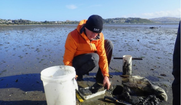Coastal water quality and ecology monitoring