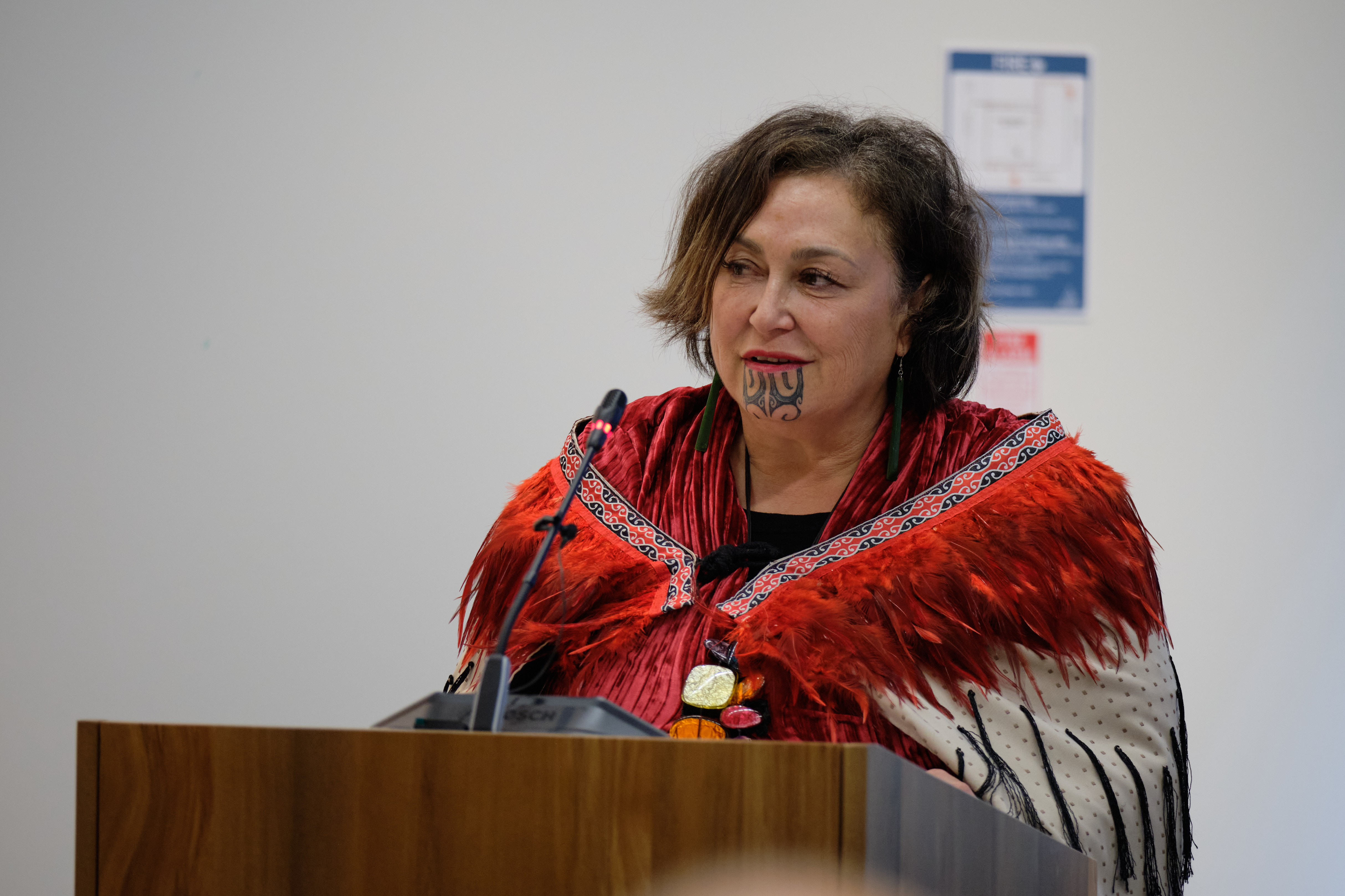 Hikitia Ropata, Chair of Te Tiriti o Waitangi Komiti