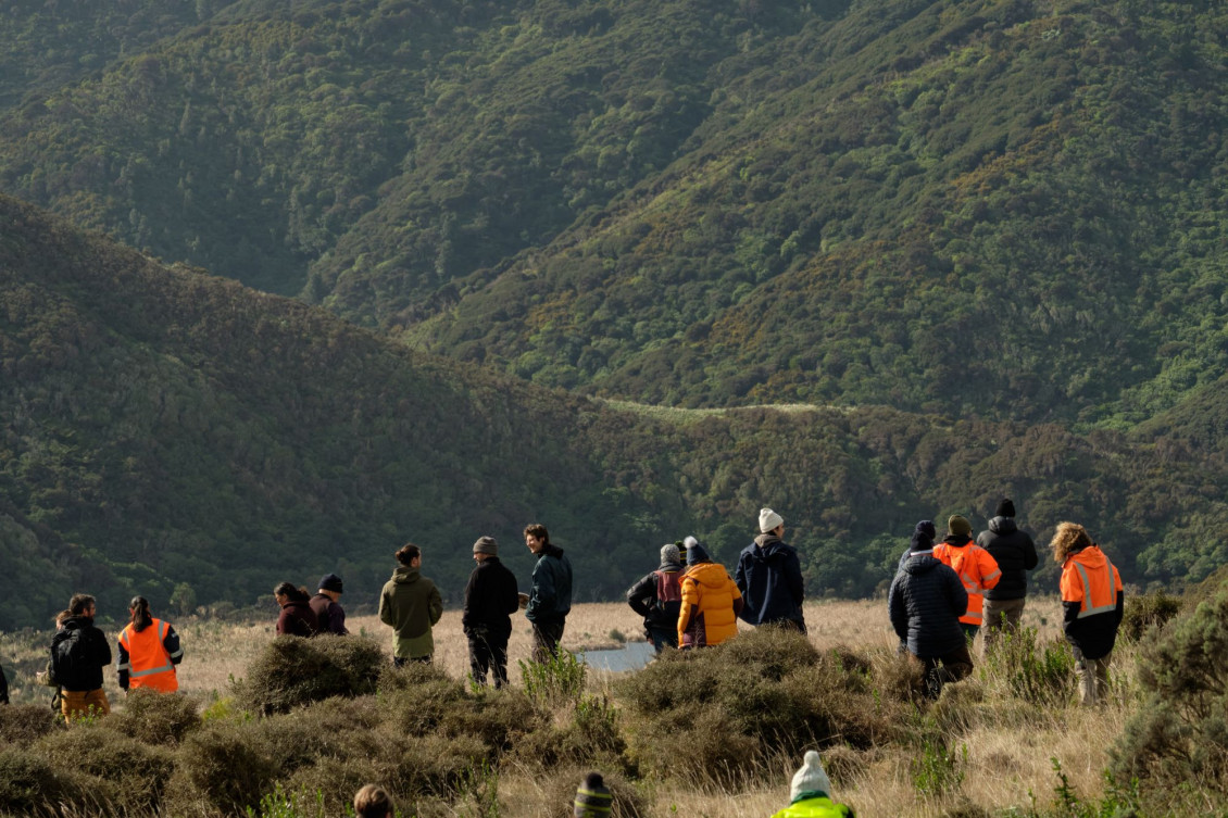 A group of people stand on the brow of a hill at Rōpu Tiaki planting day Parangarahu Lakes